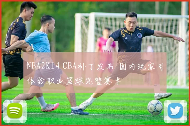 NBA2K14 CBA补丁发布 国内玩家可体验职业篮球完整赛季