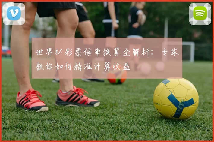 世界杯彩票倍率换算全解析：专家教你如何精准计算收益