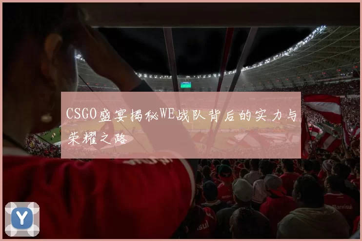 CSGO盛宴揭秘WE战队背后的实力与荣耀之路