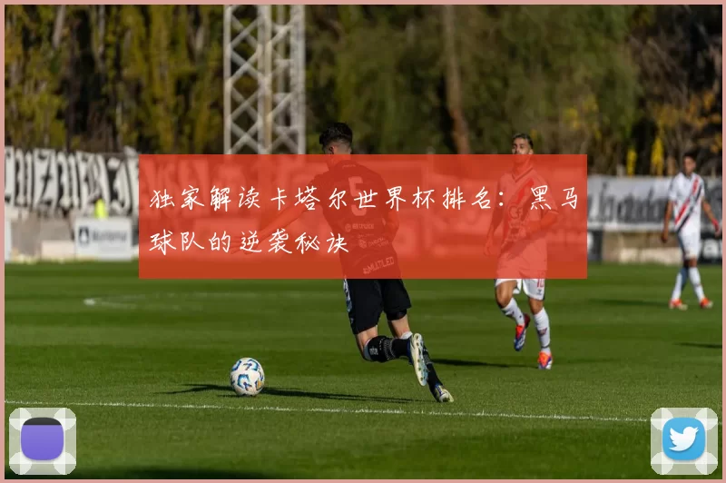 独家解读卡塔尔世界杯排名:黑马球队的逆袭秘诀
