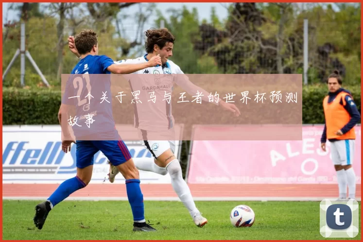 一个关于黑马与王者的世界杯预测故事
