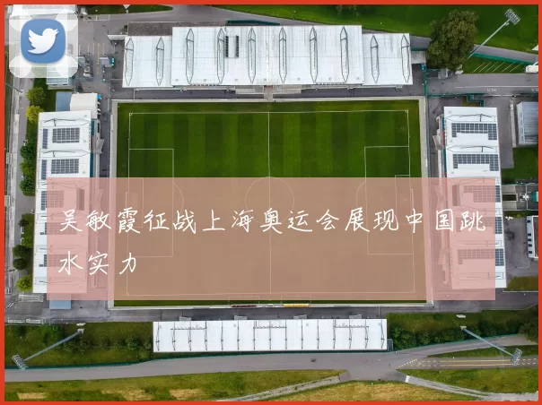 吴敏霞征战上海奥运会展现中国跳水实力