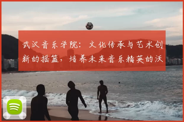 武汉音乐学院：文化传承与艺术创新的摇篮，培养未来音乐精英的沃土