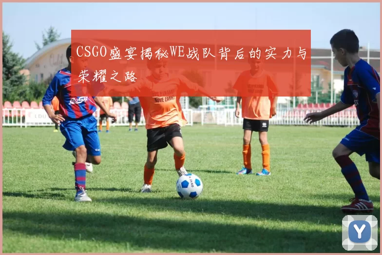 CSGO盛宴揭秘WE战队背后的实力与荣耀之路