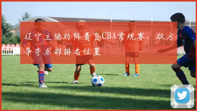 辽宁主场对阵青岛CBA常规赛，双方争夺东部排名位置