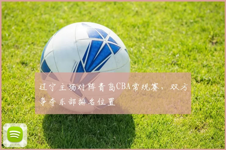 辽宁主场对阵青岛CBA常规赛，双方争夺东部排名位置
