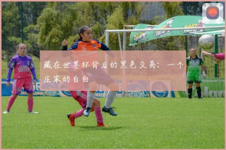 藏在世界杯背后的黑色交易:一个庄家的自白