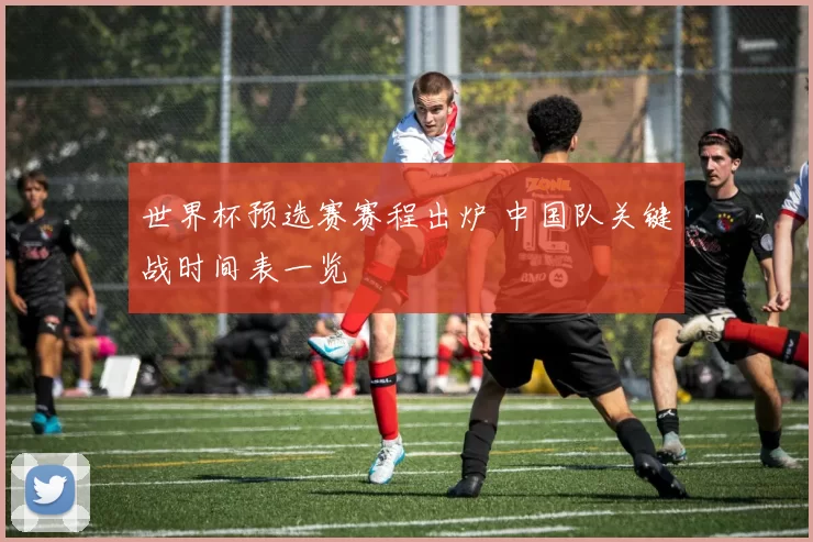 世界杯预选赛赛程出炉 中国队关键战时间表一览
